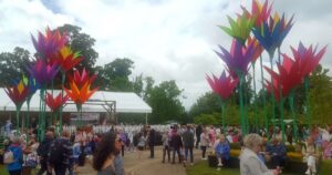 bloom festival 2022