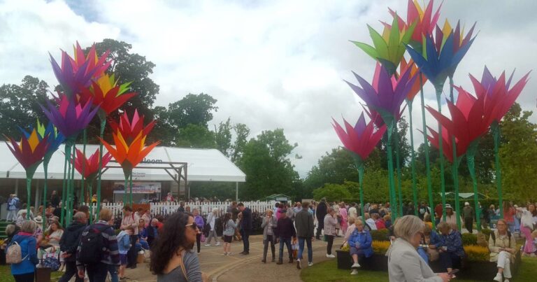 bloom festival 2022