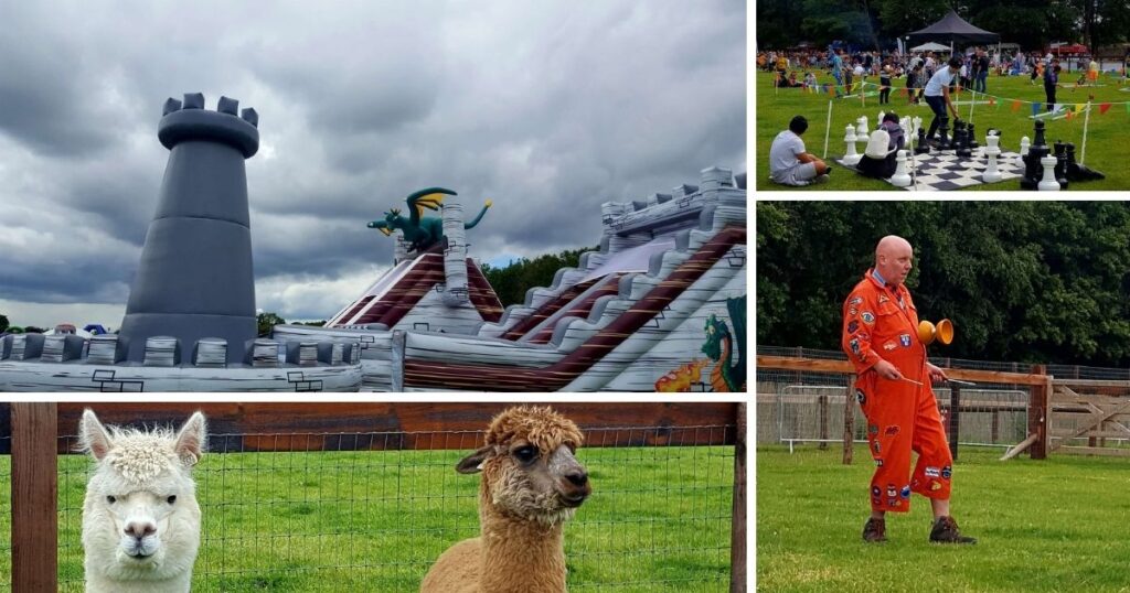fun field flavours of fingal